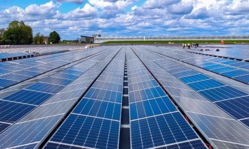 Energia Solar e Carros Elétricos: Uma Parceria Sustentável
